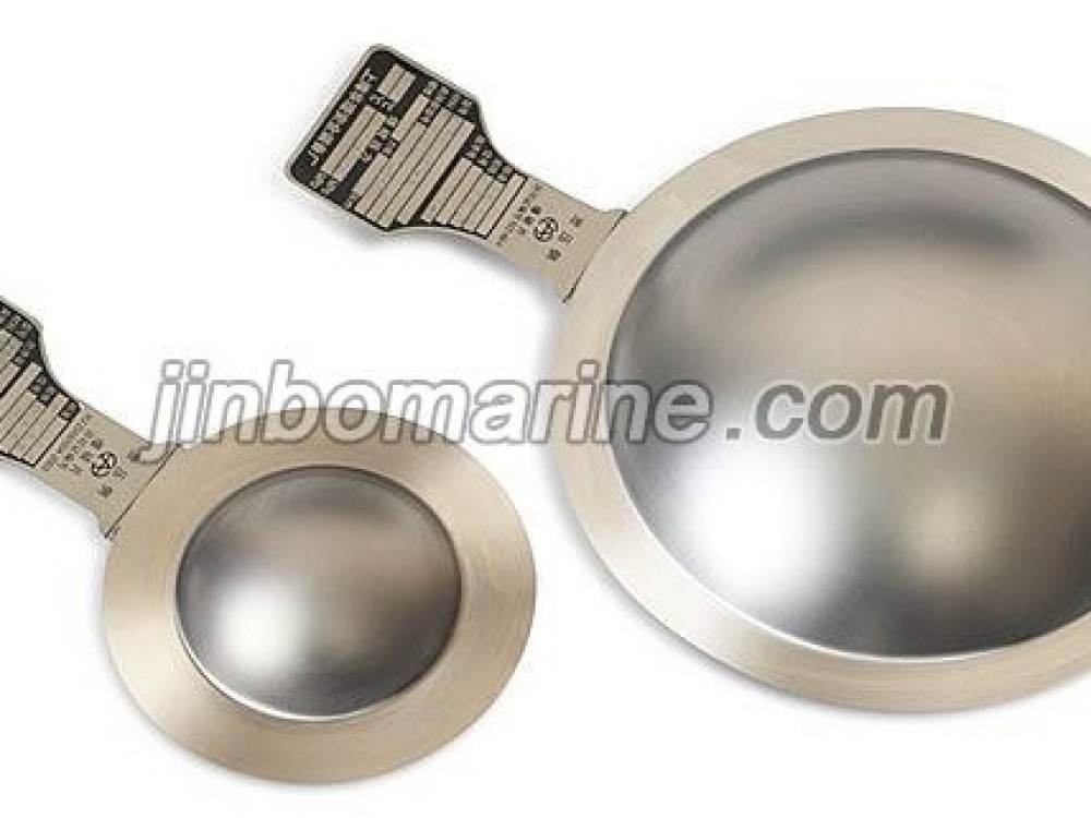 LP Bursting Disc - Image 1