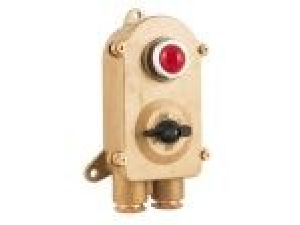 Marine Brass Switch with Indicator Light HSD2-2 - Image 1