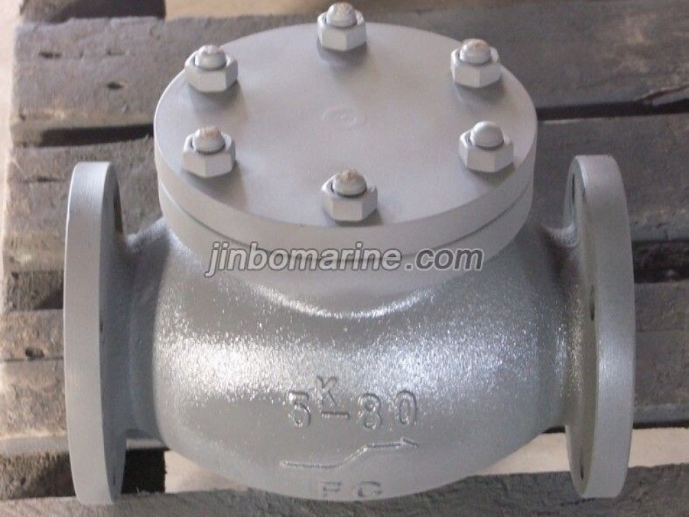 Marine Cast Iron Lift Check Globe Valve JIS F7358 5K - Image 1