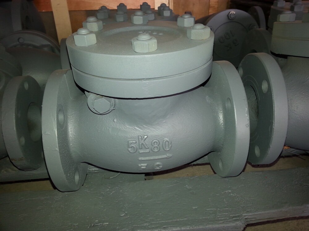Marine Cast Iron Swing Check Valve JIS F7372 - Image 1