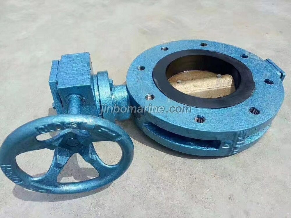 Marine Center Pivoted Double Flanged Butterfly Valve with Worm Gear - Image 1