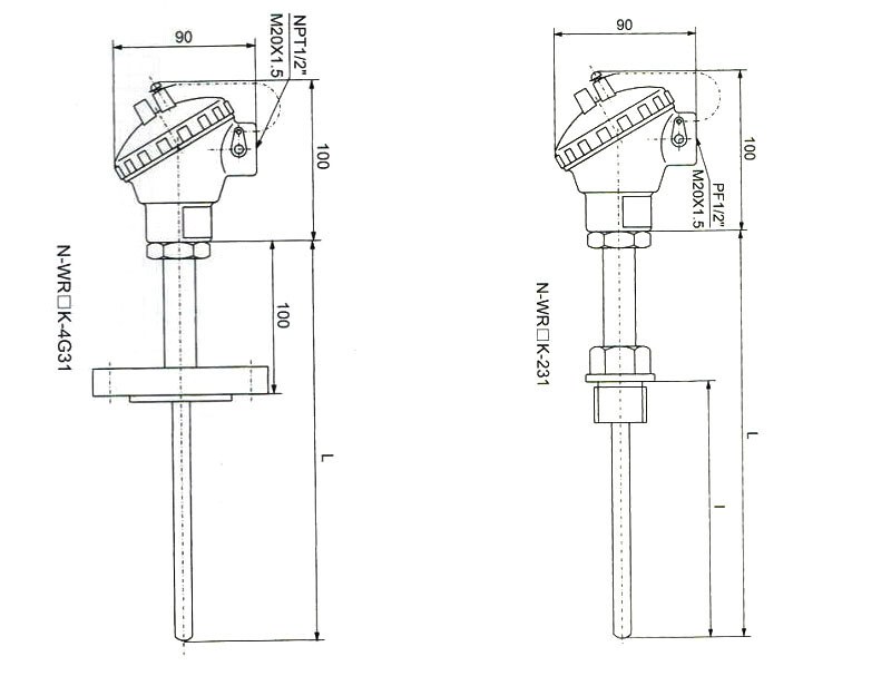 Marine Temperature Sensor WZPK Series