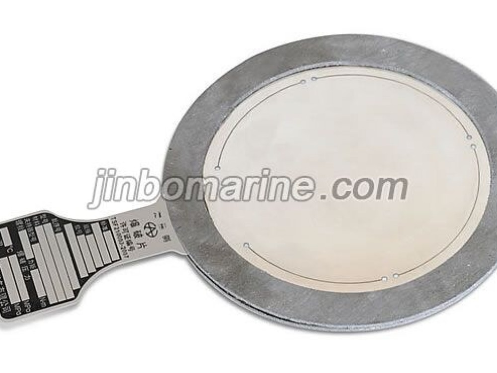 PF Bursting Disc - Image 1