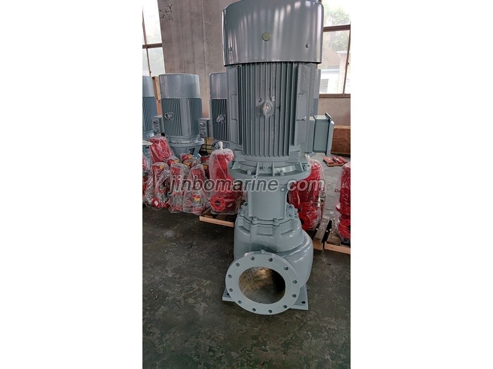 PVHB300-25ACM 750m3 per Hour Marine Vertical Centrifugal Ballast Water Pump - Image 1
