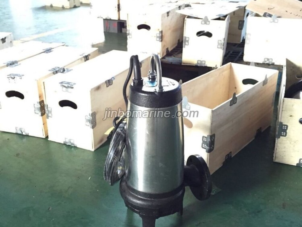 WQ (D) cutting submersible pump - Image 1