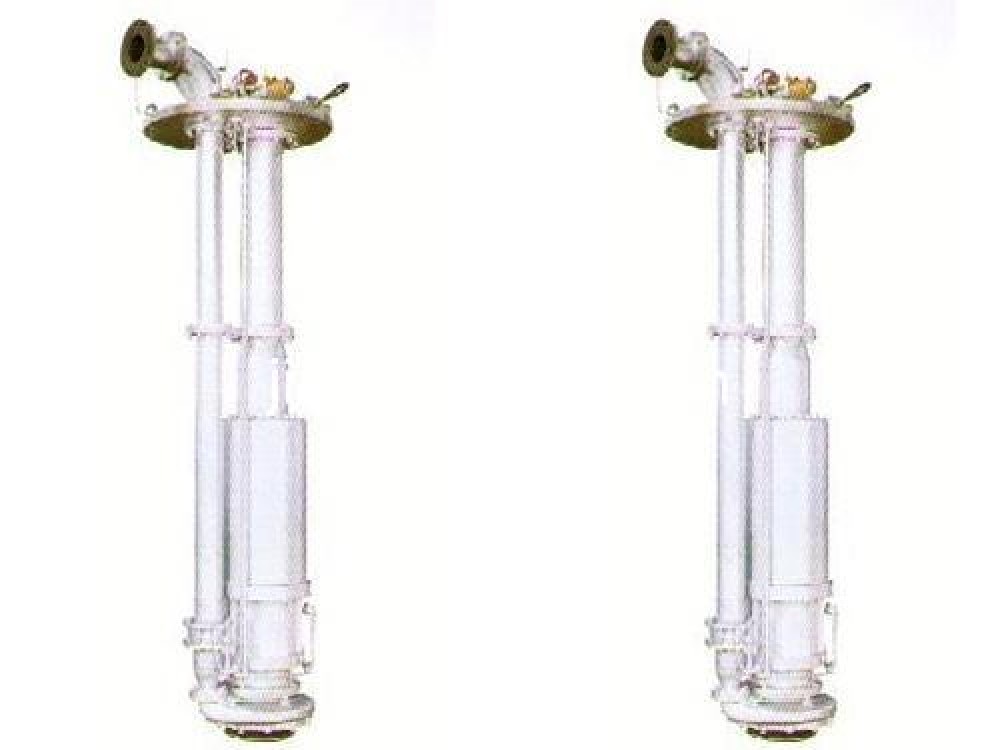 RDS Series Marine Submerged Chemical Cargo pumps - Image 1