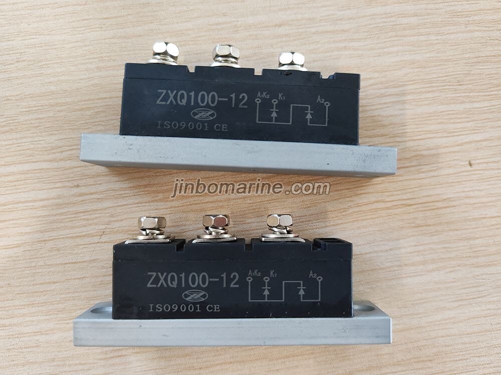 Rotating rectifier pair of arms module ZXQ100-12 - Image 1