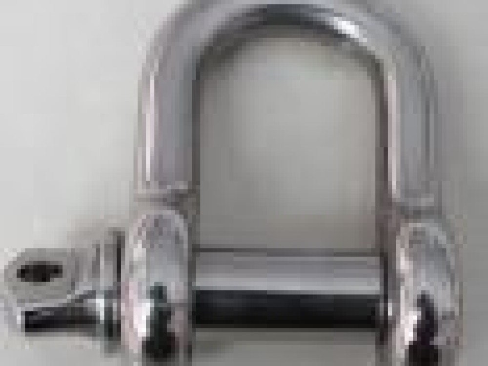 Stainless Steel D Type Shackle