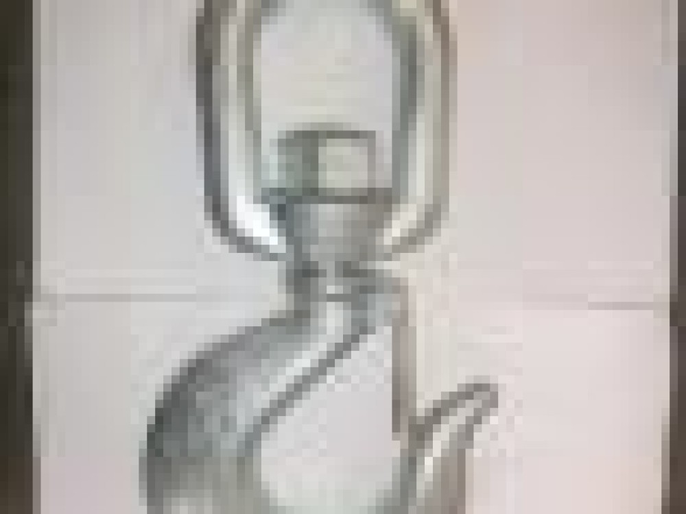 Swivel Safety Cargo Hook