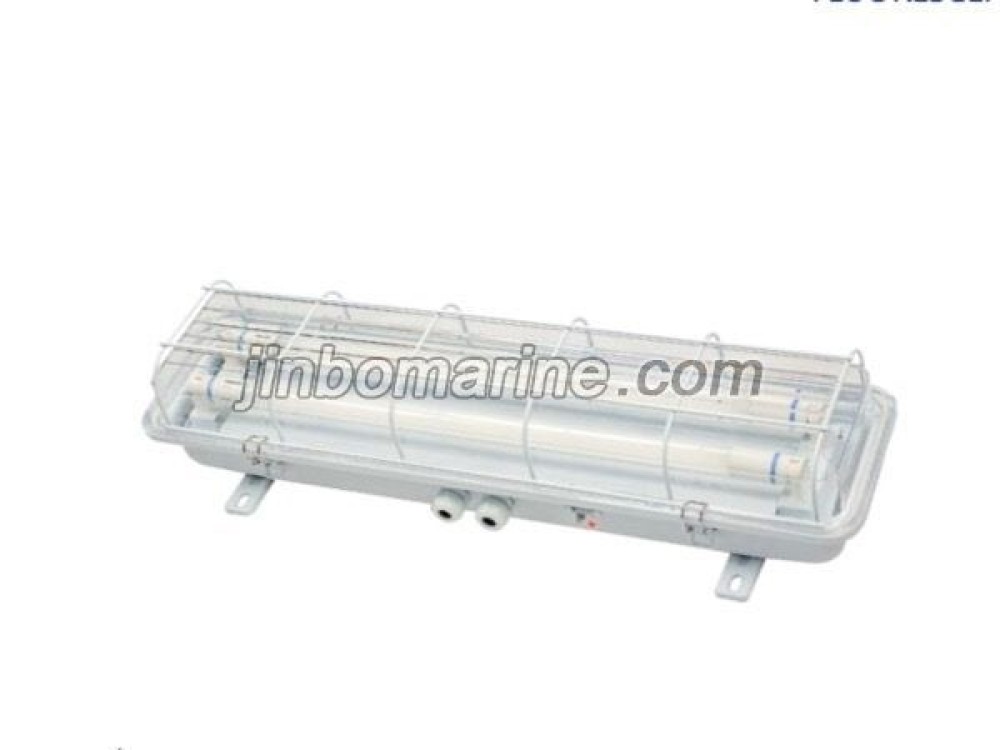 TCY20-2 Fluorescent Pendant Light - Image 1