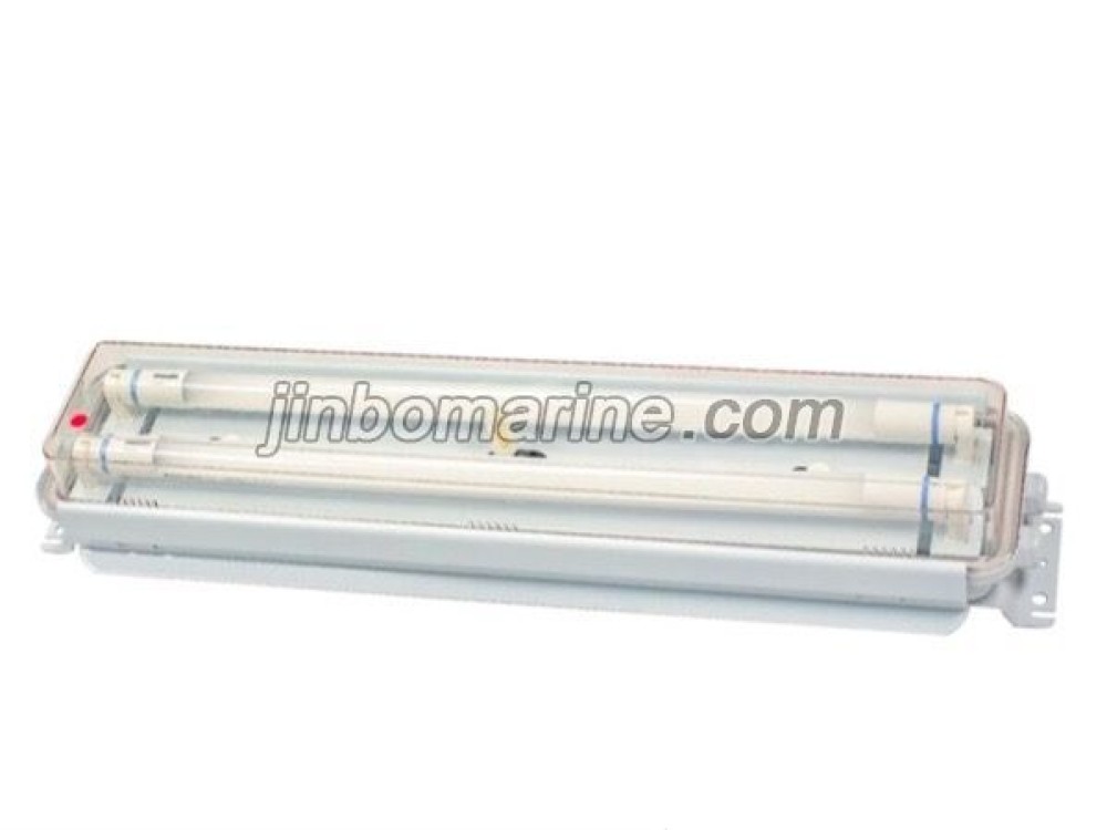 TCYA20-2 Fluorescent Ceiling Light - Image 1