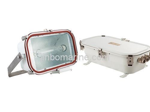 Flood Light TG13