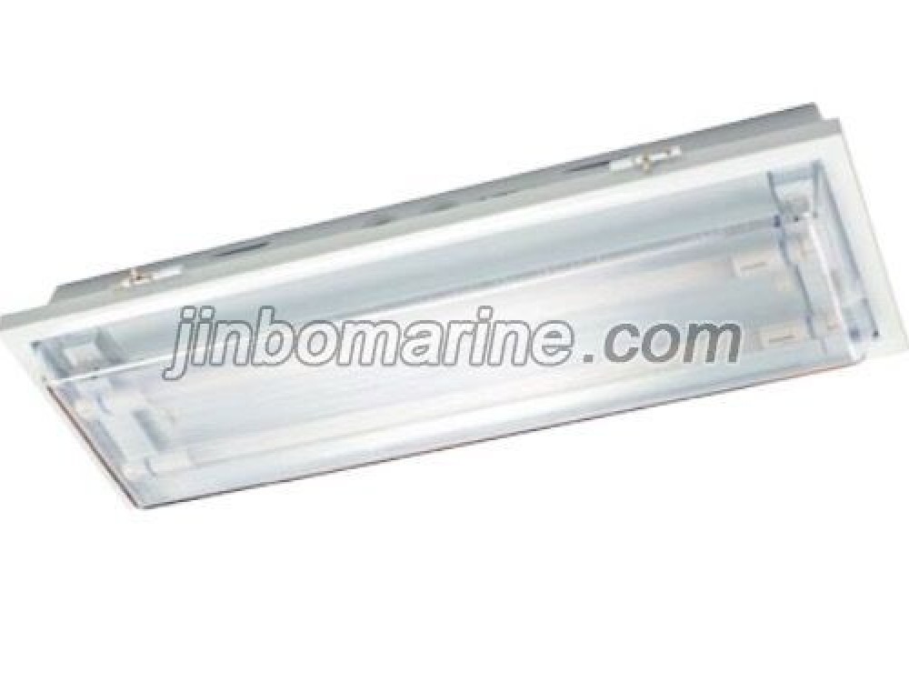 TPY10-2GL LED Ceiling Light