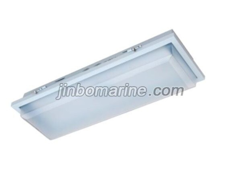 TPY10-2ML LED Ceiling Light