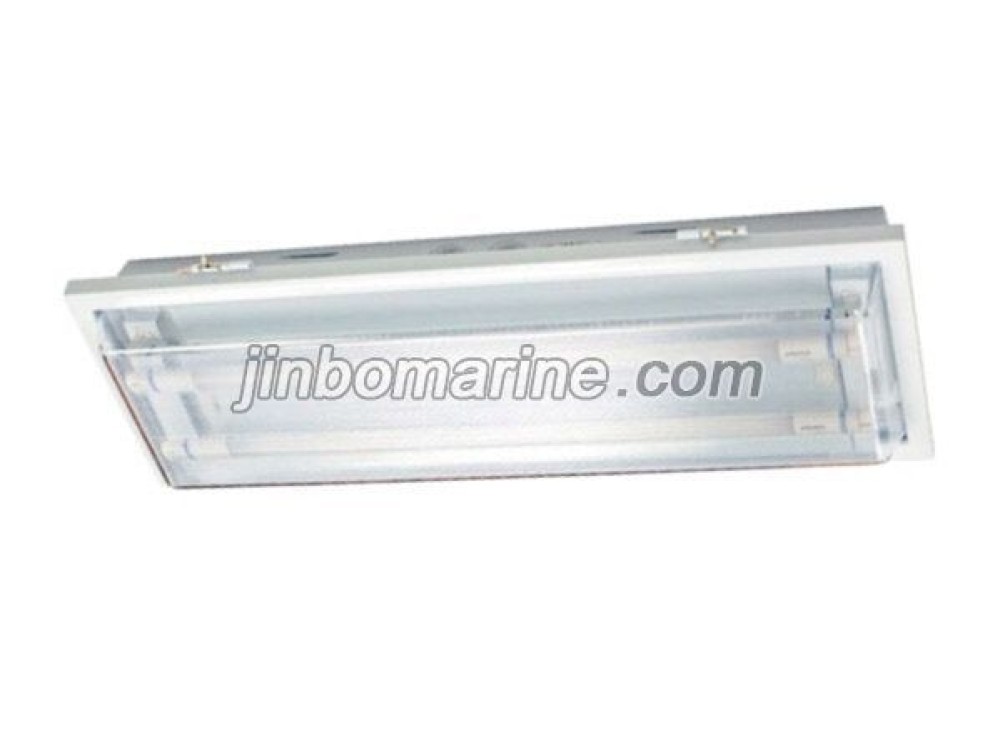 TPY20-2 Fluorescent Ceiling Light - Image 1