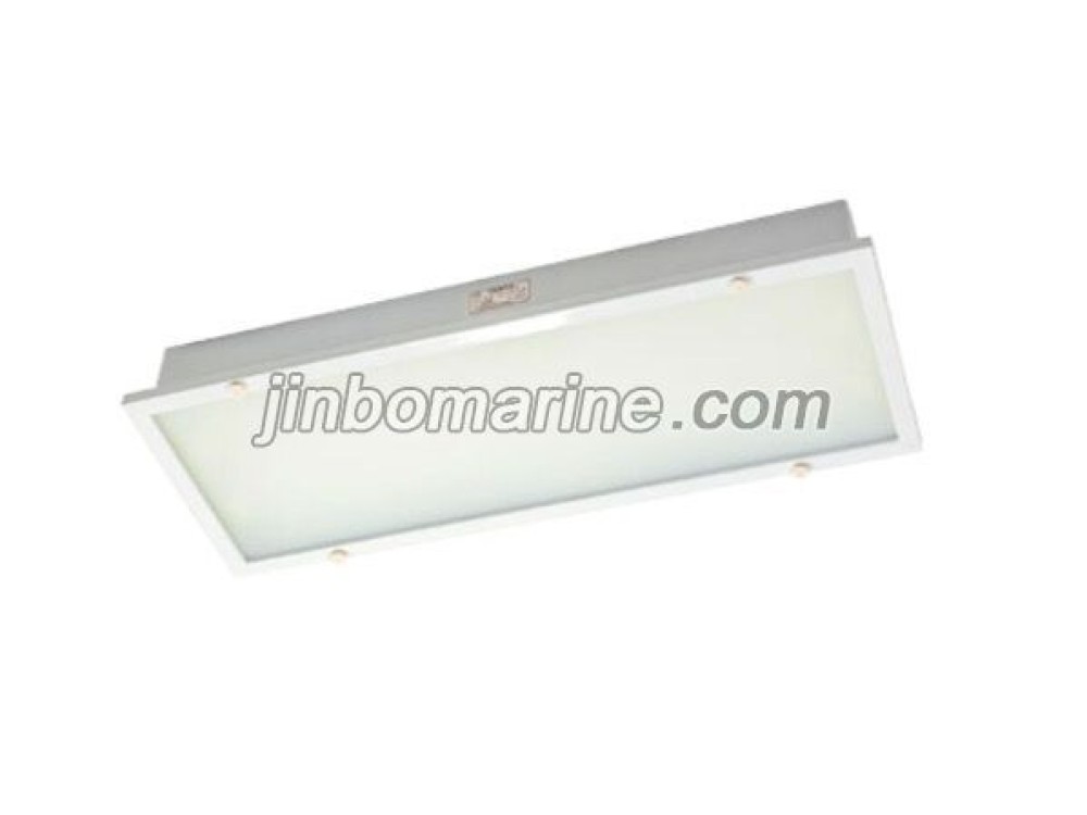 TPYA10-2GL LED Ceiling Light