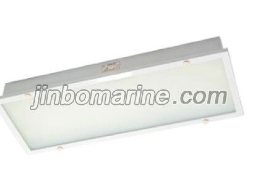 TPYA10-2ML LED Ceiling Light