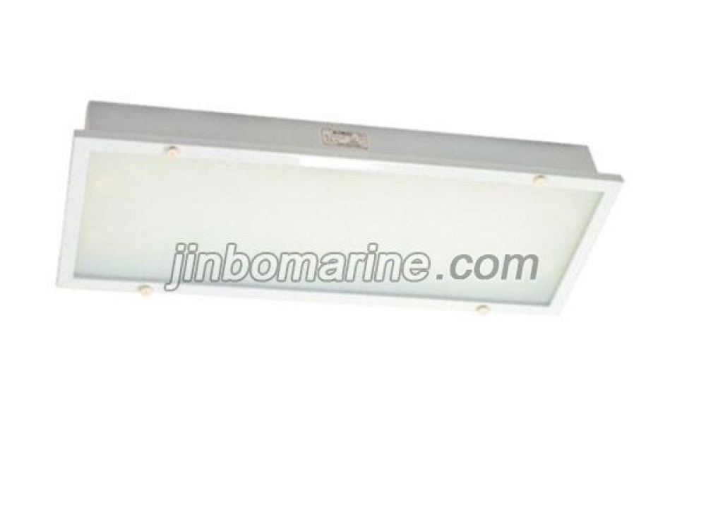 TPYA20-2 Fluorescent Ceiling Light - Image 1