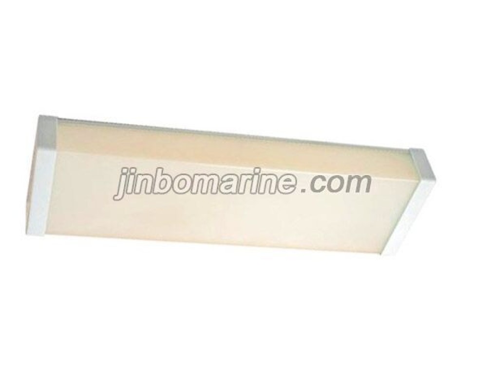 TPYE20-2 Fluorescent Ceiling Light - Image 1
