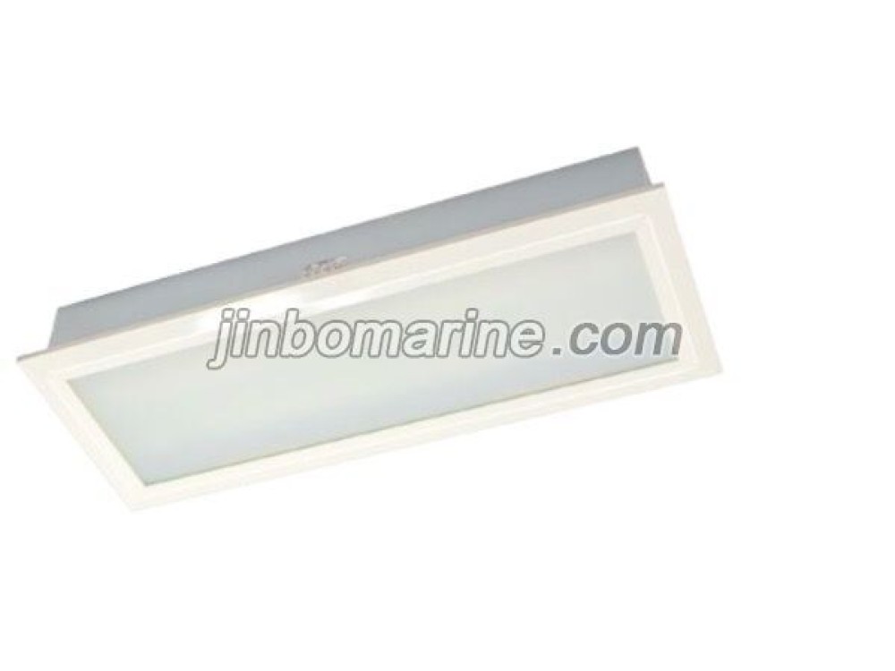 TPYF10-2ML LED Ceiling Light - Image 1