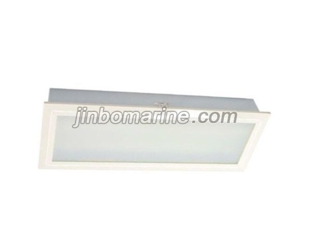 TPYF20-2 Fluorescent Ceiling Light - Image 1