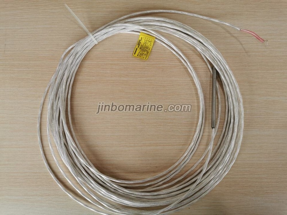WZPK-3-R Temperature Sensor - Image 2