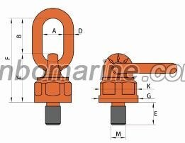 BLT083 Universal Hoist Ring