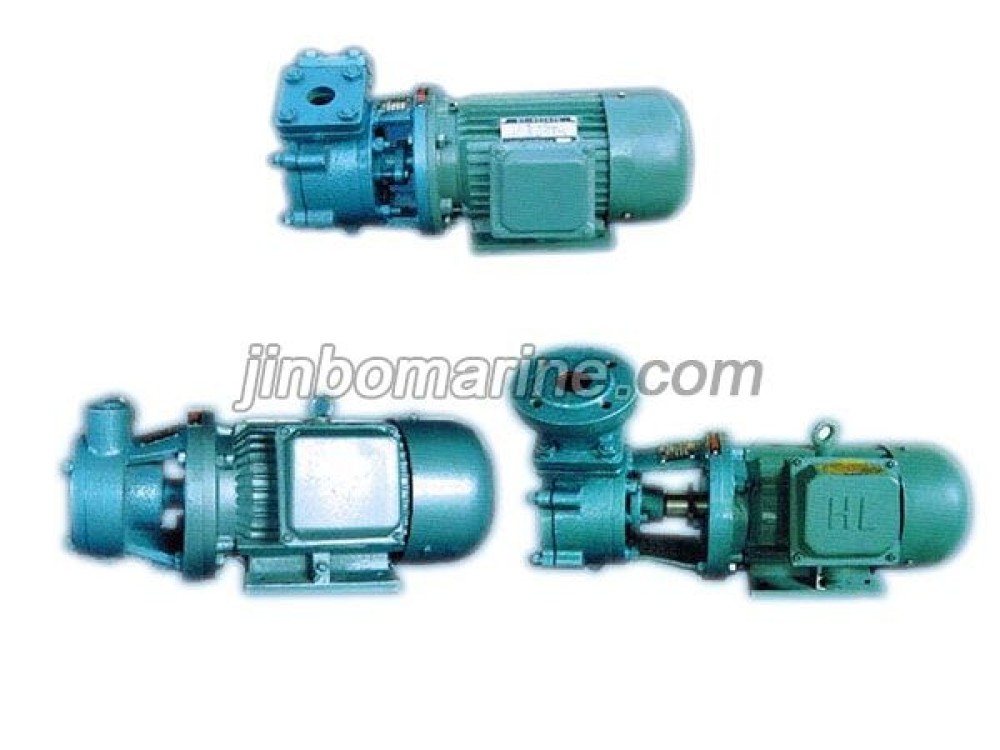 Model W Single Stage Vortex Pump - Image 1