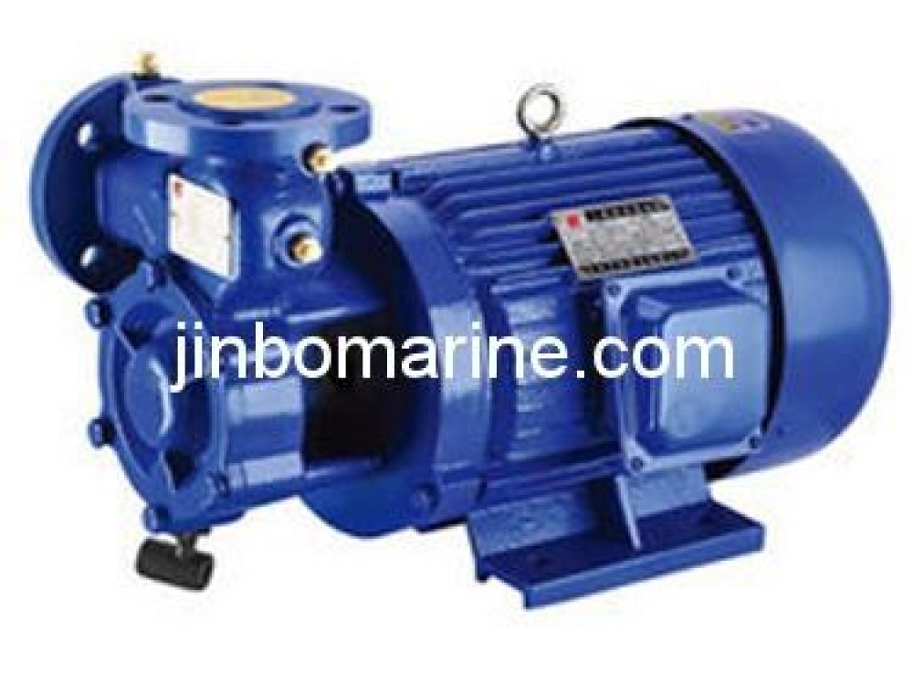 W Series Vortex Fresh Water Pump - Image 1