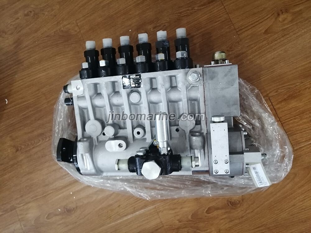WEICHAI BHT6P9 Fuel Injection Pump Assembly - Image 1