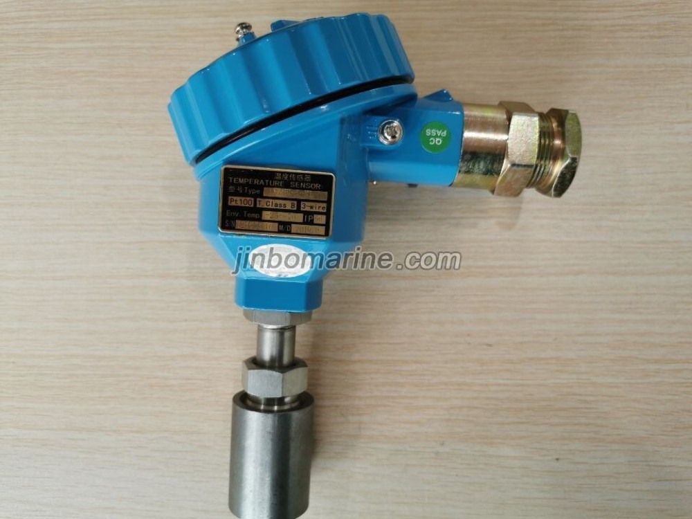 WZPK PT Temperature sensor - Image 3