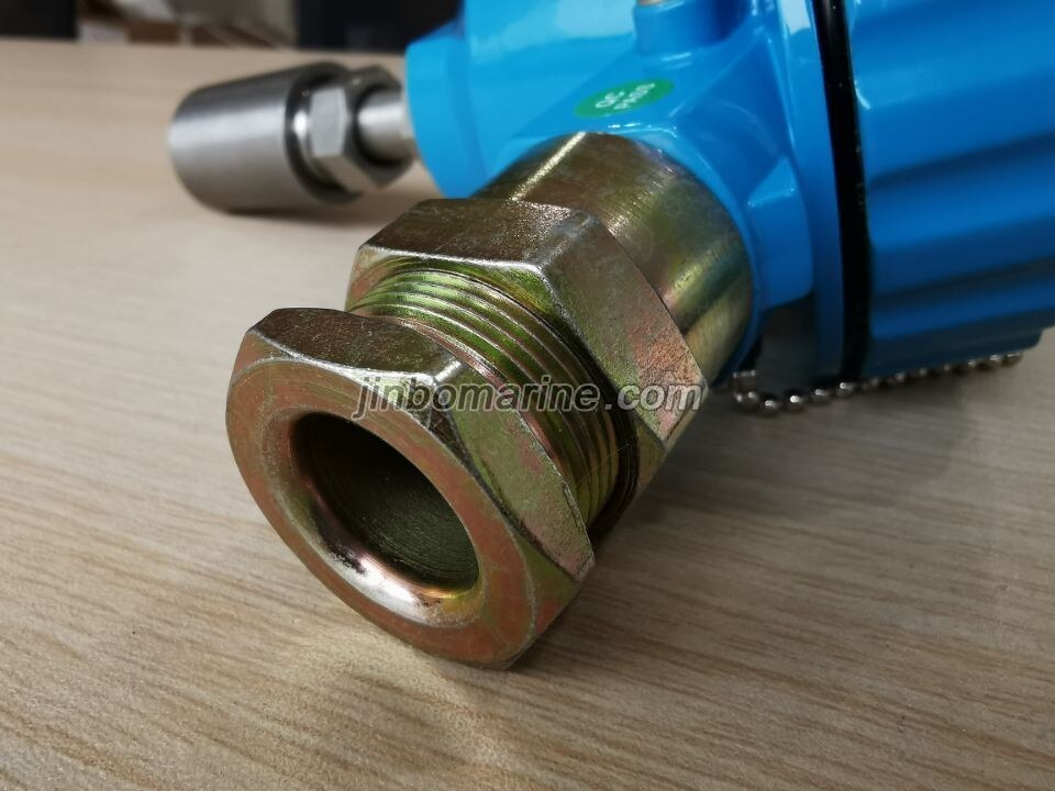 WZPK PT Temperature sensor