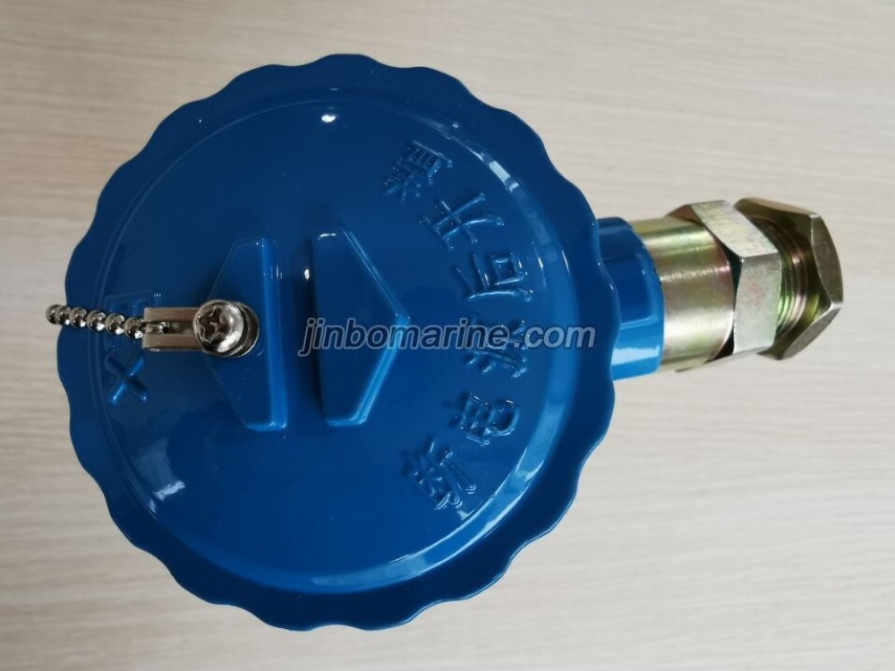 WZPK PT Temperature sensor - Image 4