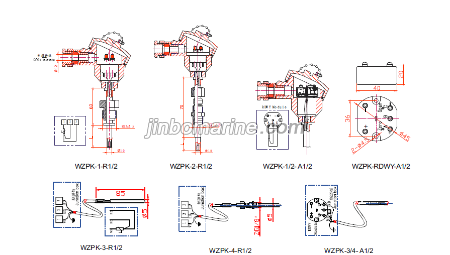 WZPK PT Temperature sensor