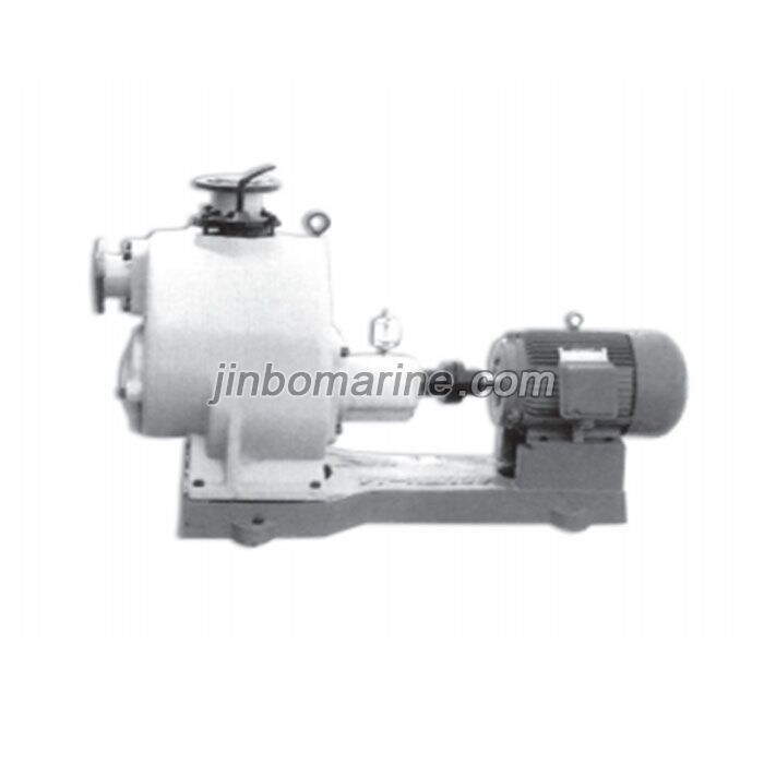 WZW series self-priming polluted water pump