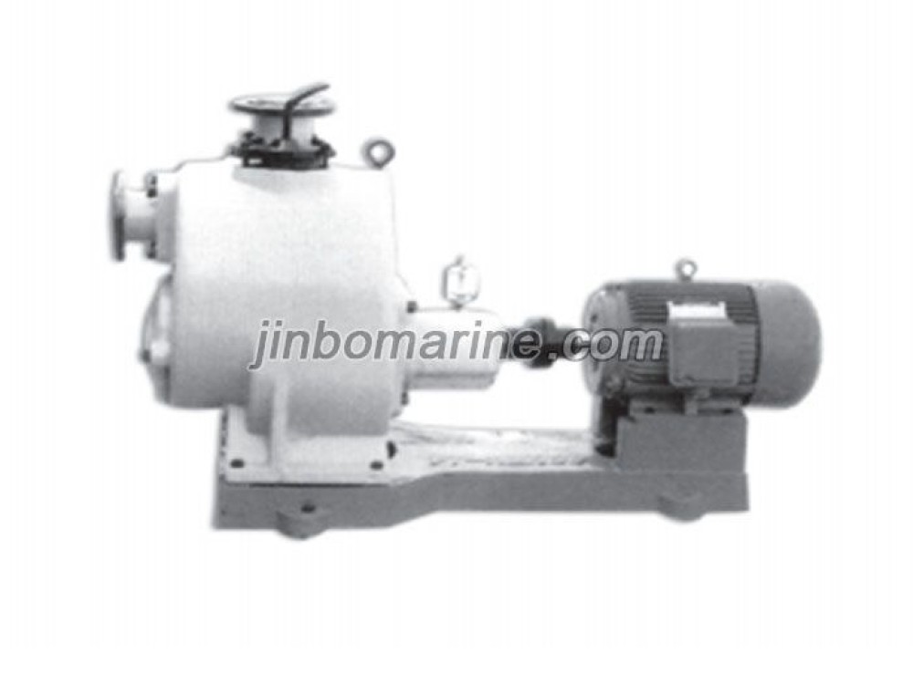 WZW series self-priming polluted water pump - Image 1