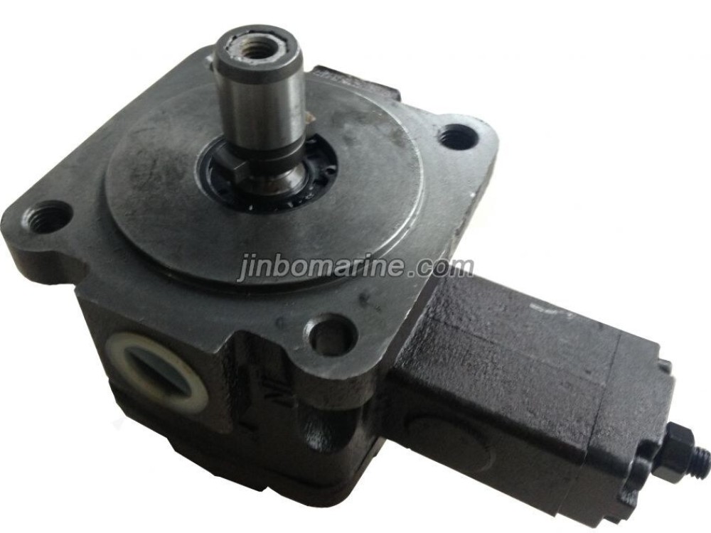 YBD Fuel Oil Vane Pump - Image 1