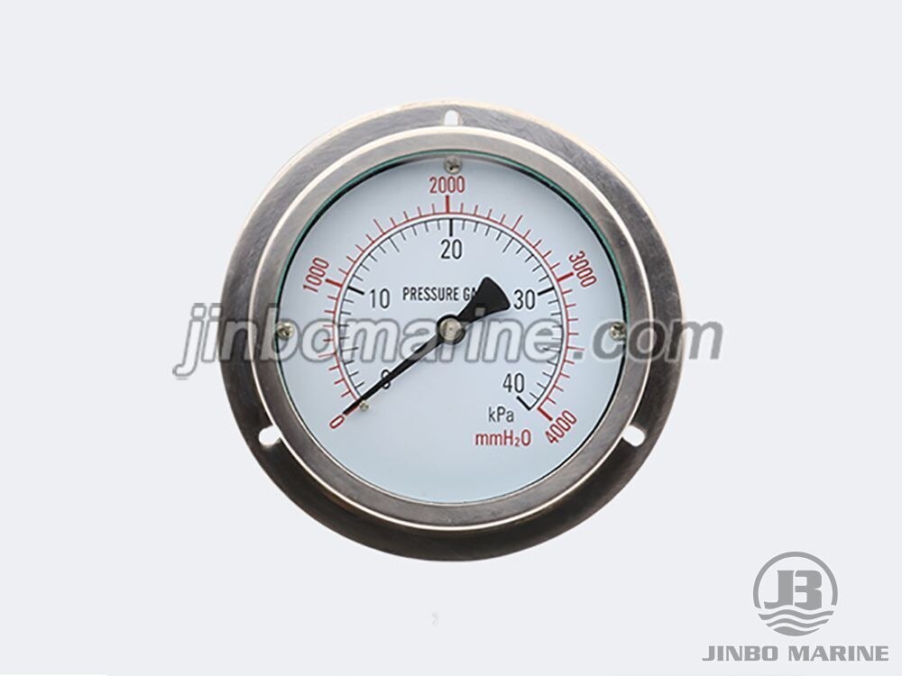 Capsule Pressure Gauge