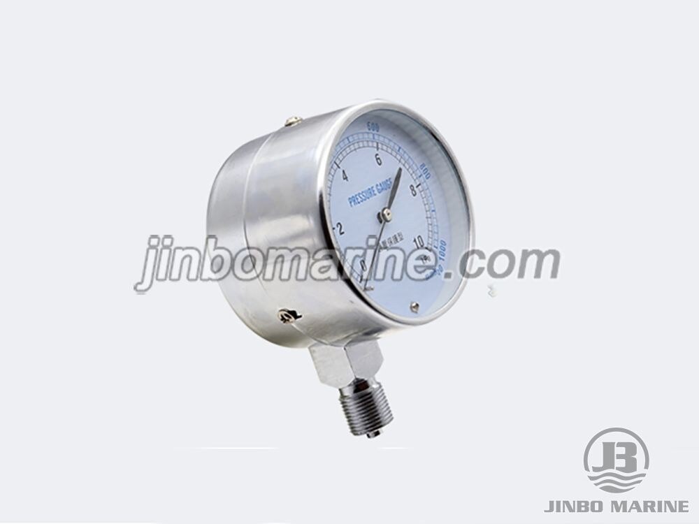 YE-75 Overpressure Protection Type Capsule Pressure Gauge