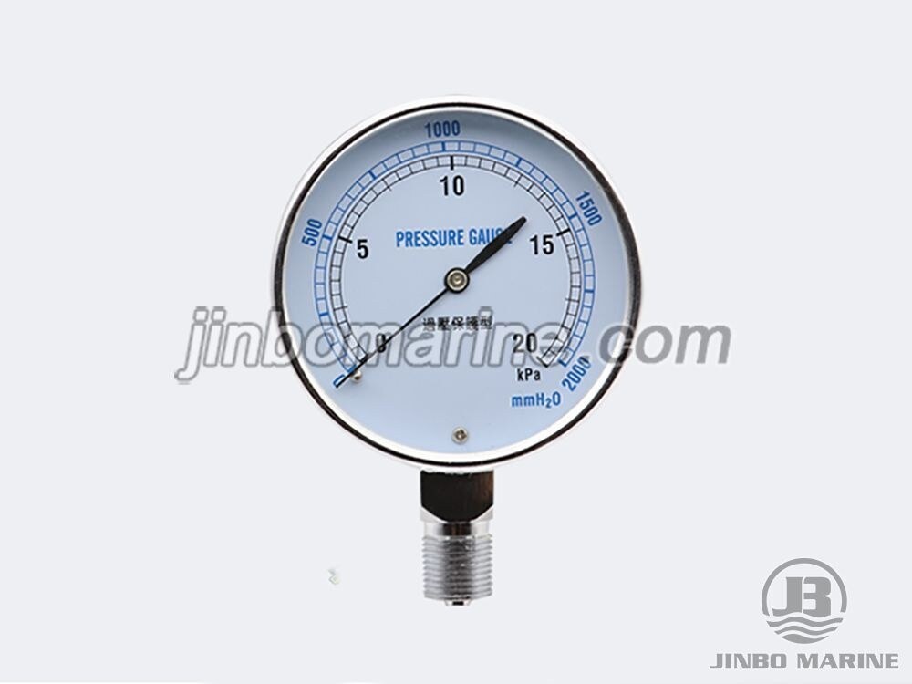 YE-75 Overpressure Protection Type Capsule Pressure Gauge - Image 2