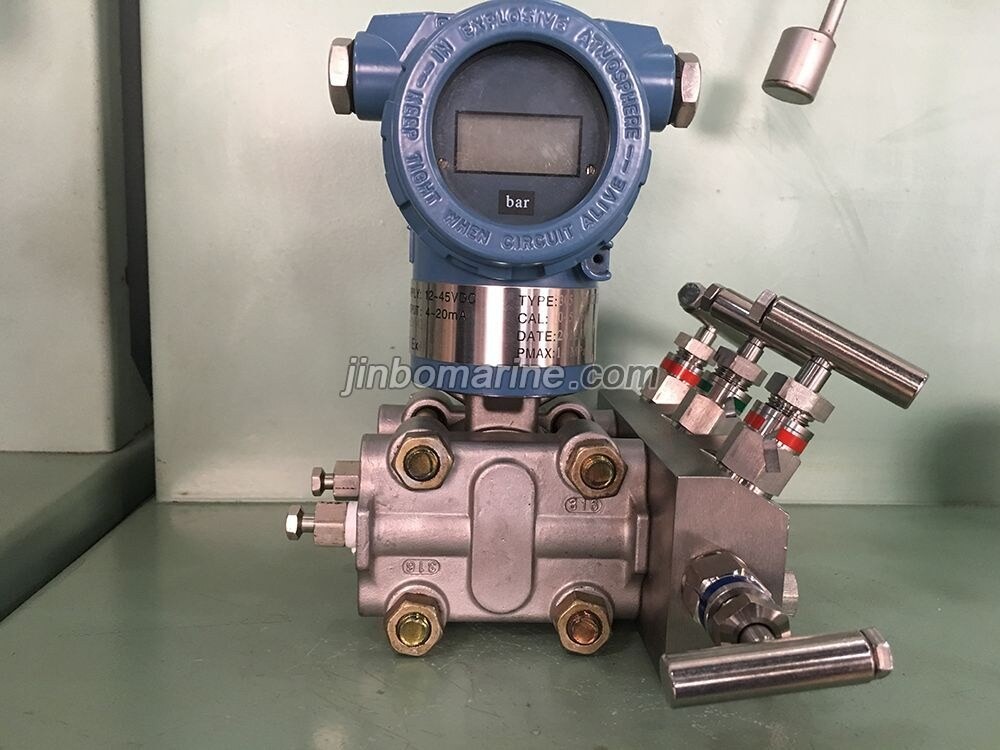 YSZK-01G-C-B Explosion Proof Type Pressure Transmitter - Image 2