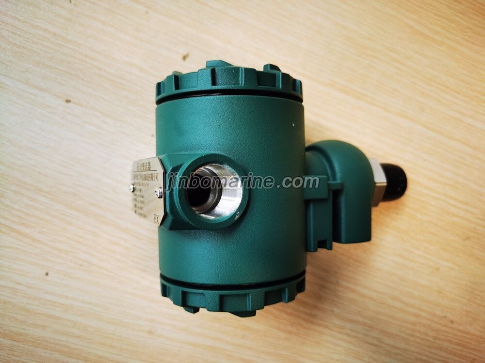 YSZK-01G-C-B Pressure Transmitter - Image 2