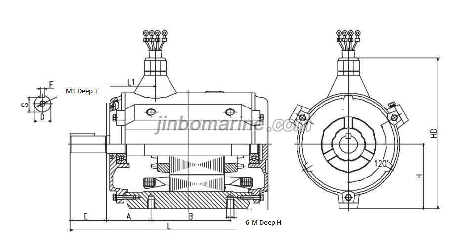 YT Series Totally-Enclosed Three-Phase Induction Motor