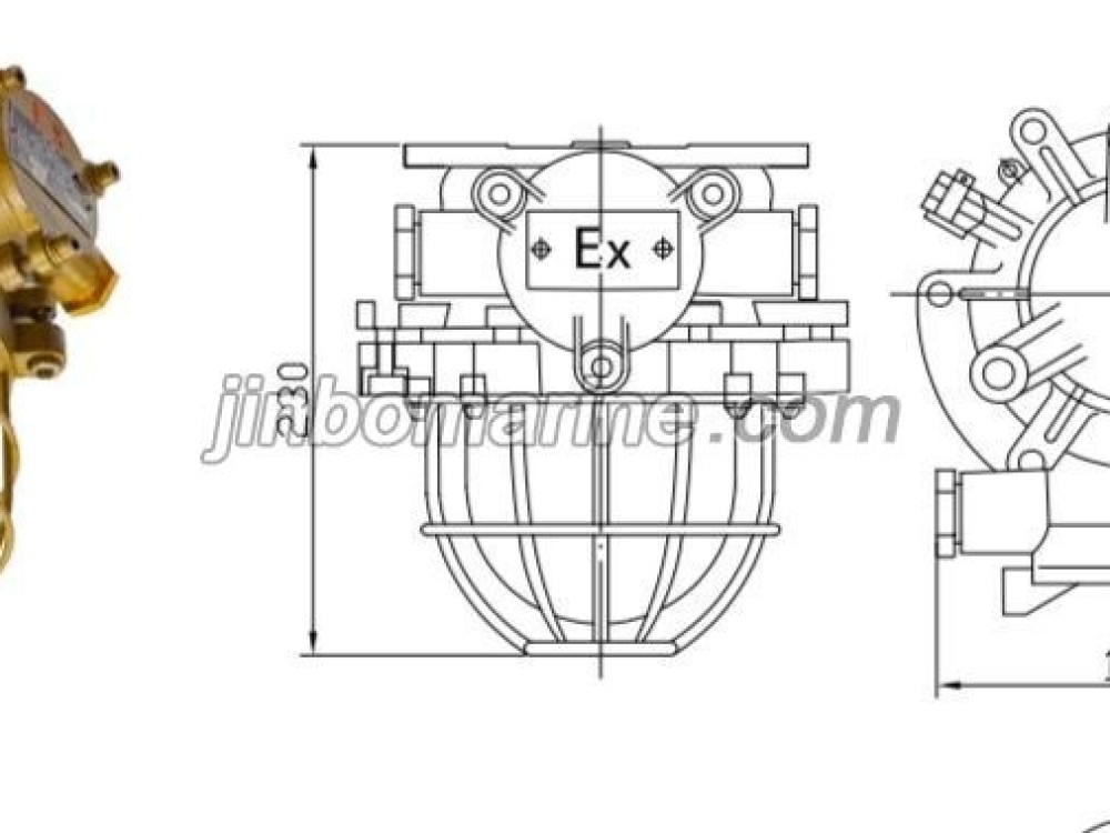 dF220-100 Incandescent Ex-proof Light - Image 1