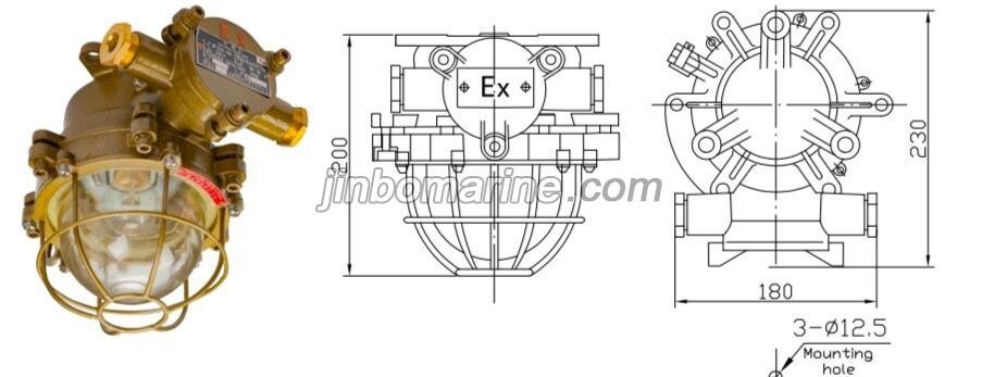 dF220-25 Incandescent Ex-proof Light