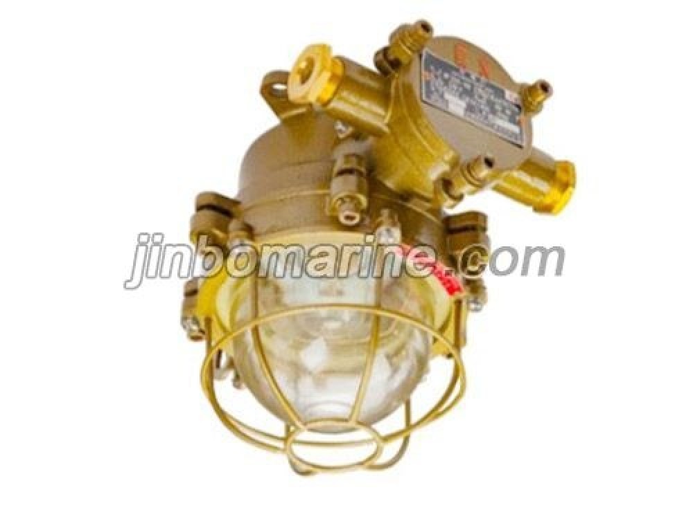 dF220-25 Incandescent Ex-proof Light - Image 1