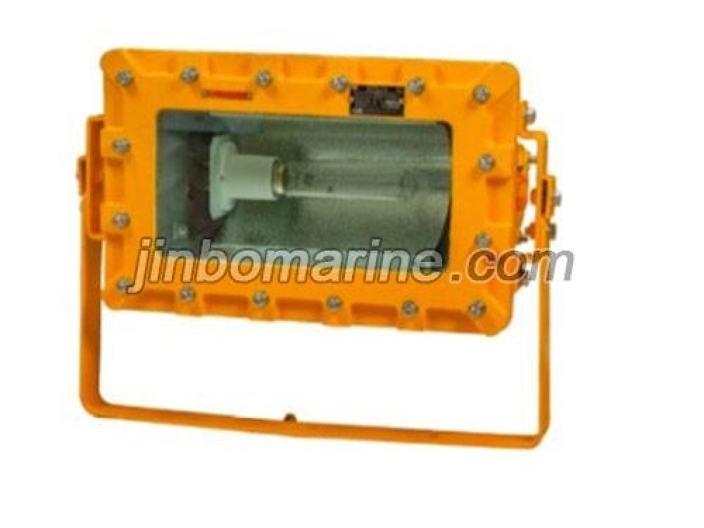 dHF220-250 Exproof Flood Light - Image 1