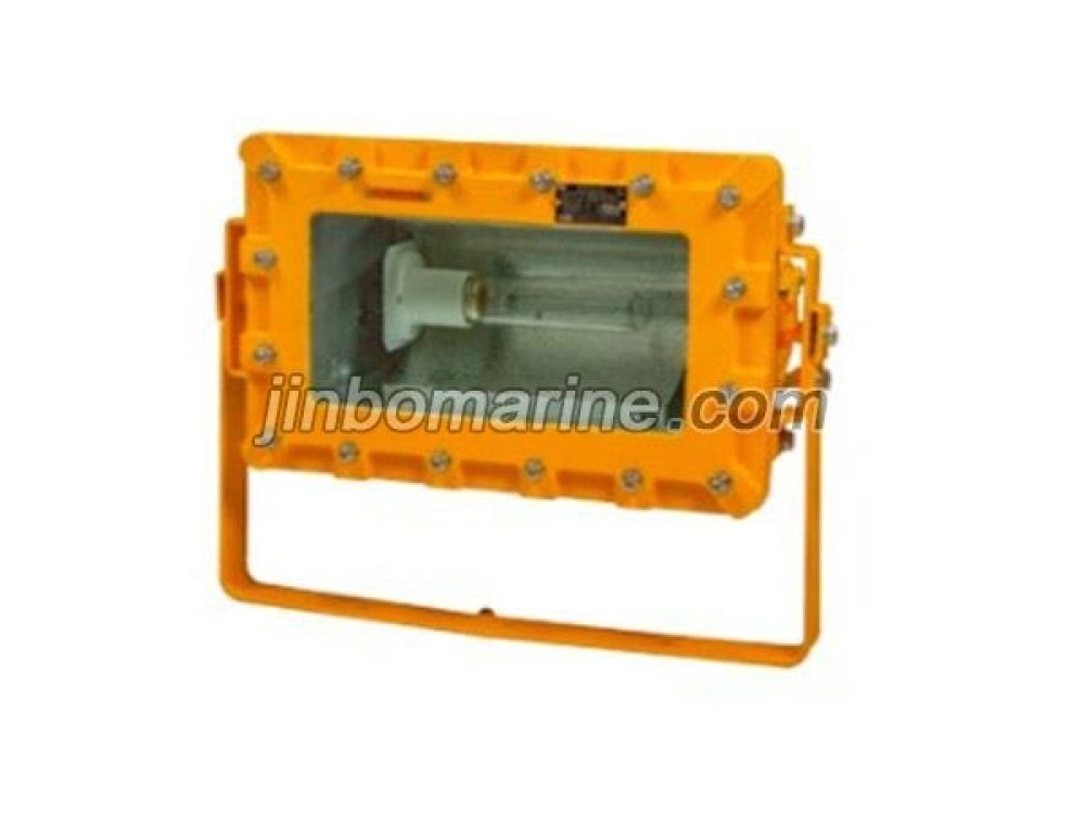 dHF220-300 Exproof Flood Light - Image 1