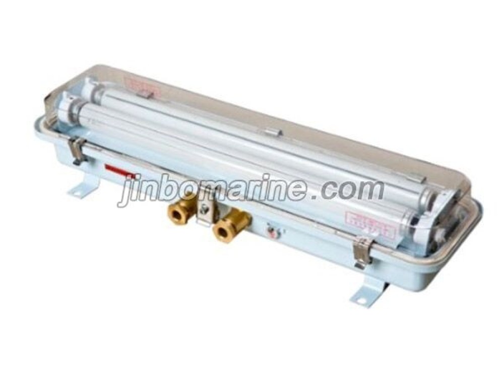 edyF201 Improved Safety Type Ex-proof Fluorescent Light - Image 1