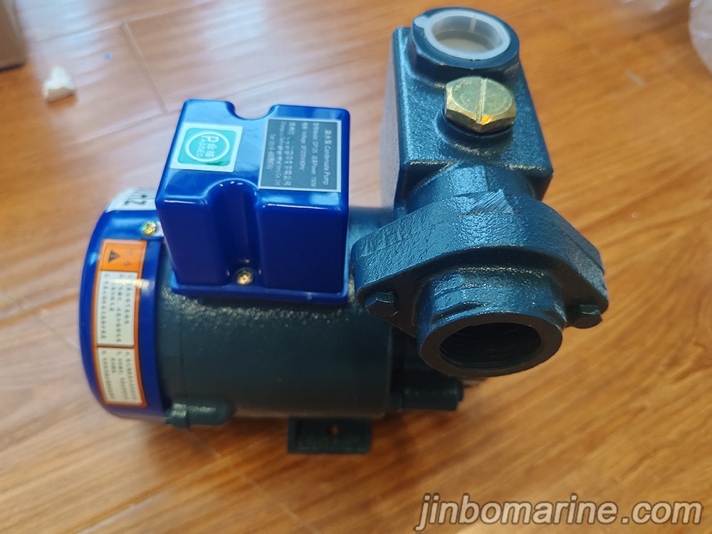 GP125 Condensate Pump 3